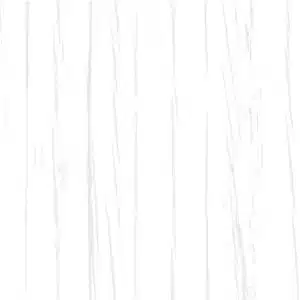 white_5